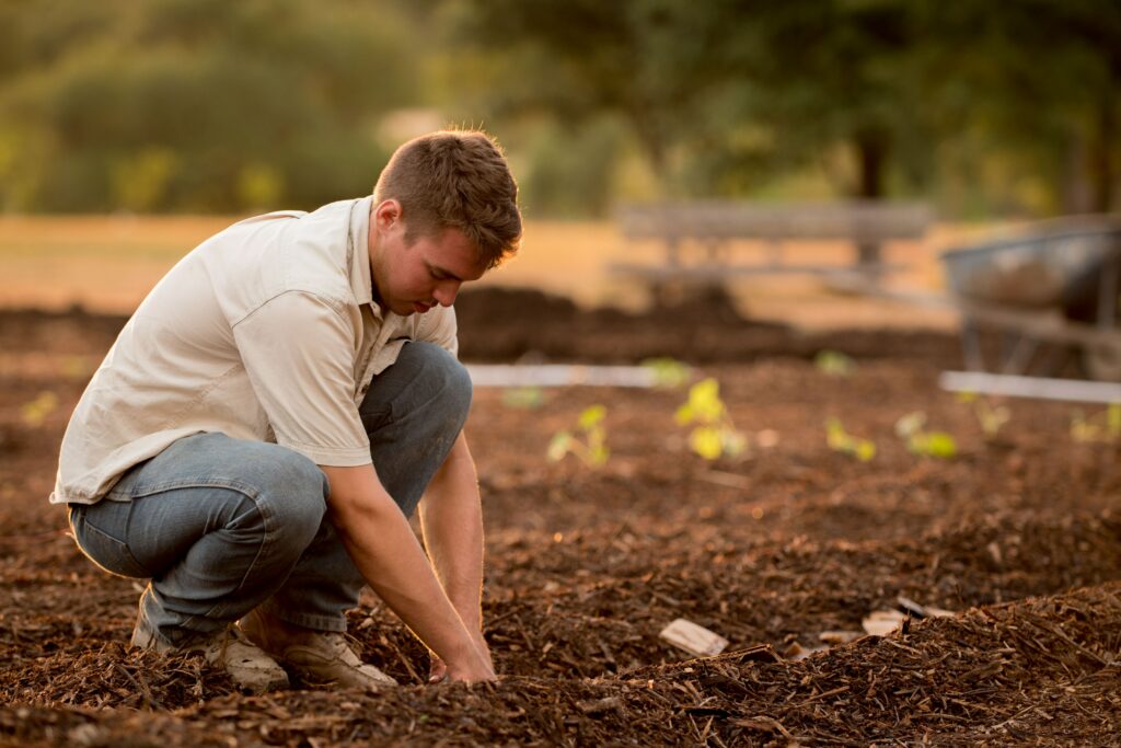 agriculteur-TNS-travailleur non salarie-investissement et patrimoine